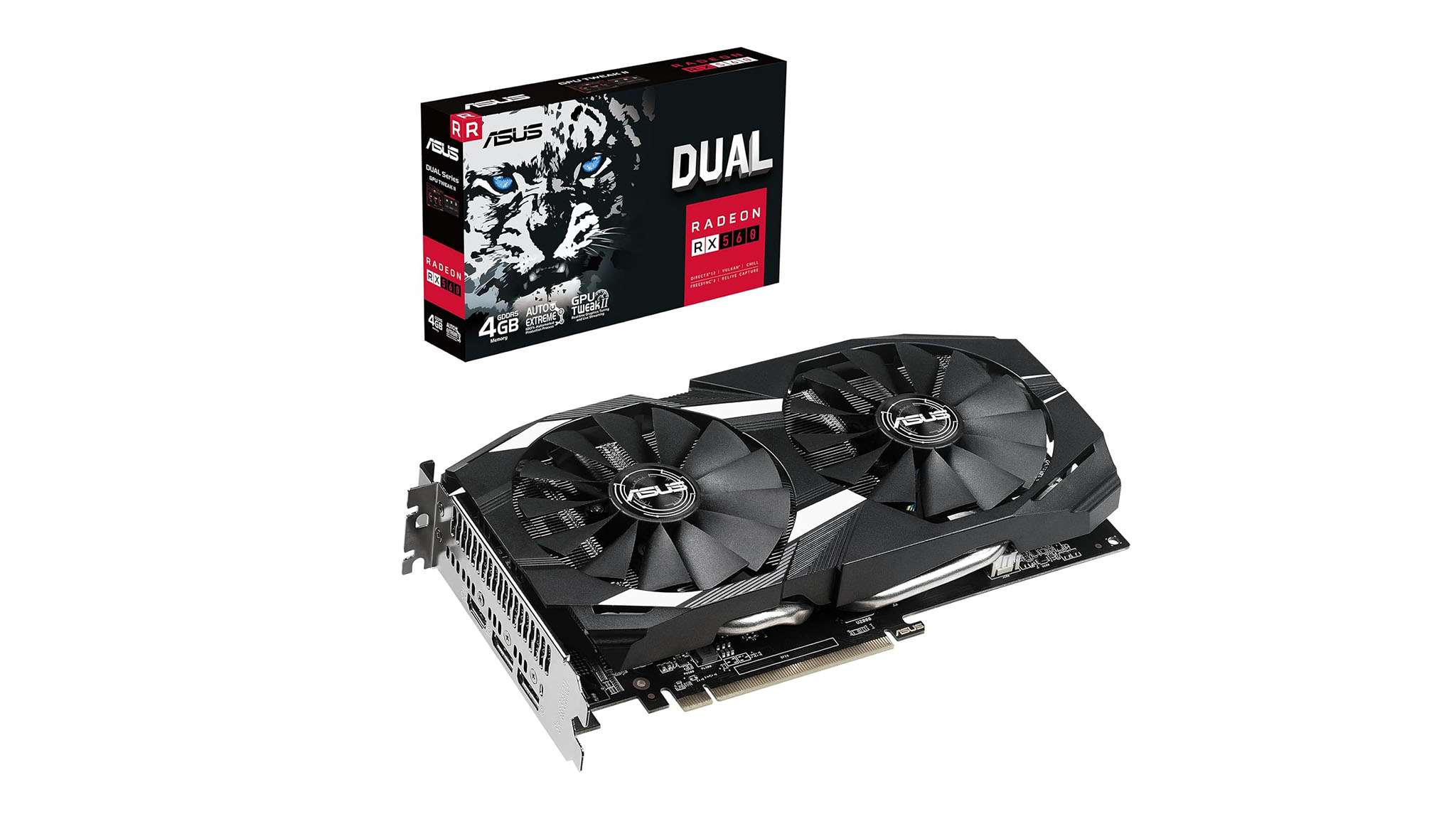 忍不拔的精 忍不拔的精