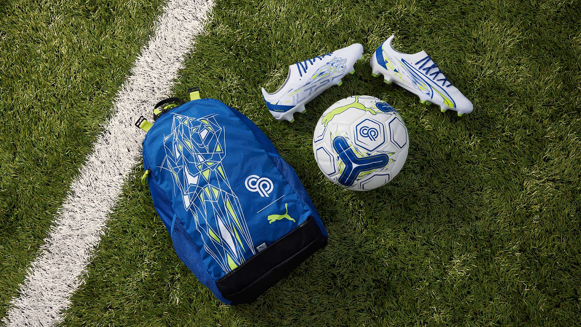 为读者揭开 为读者揭开